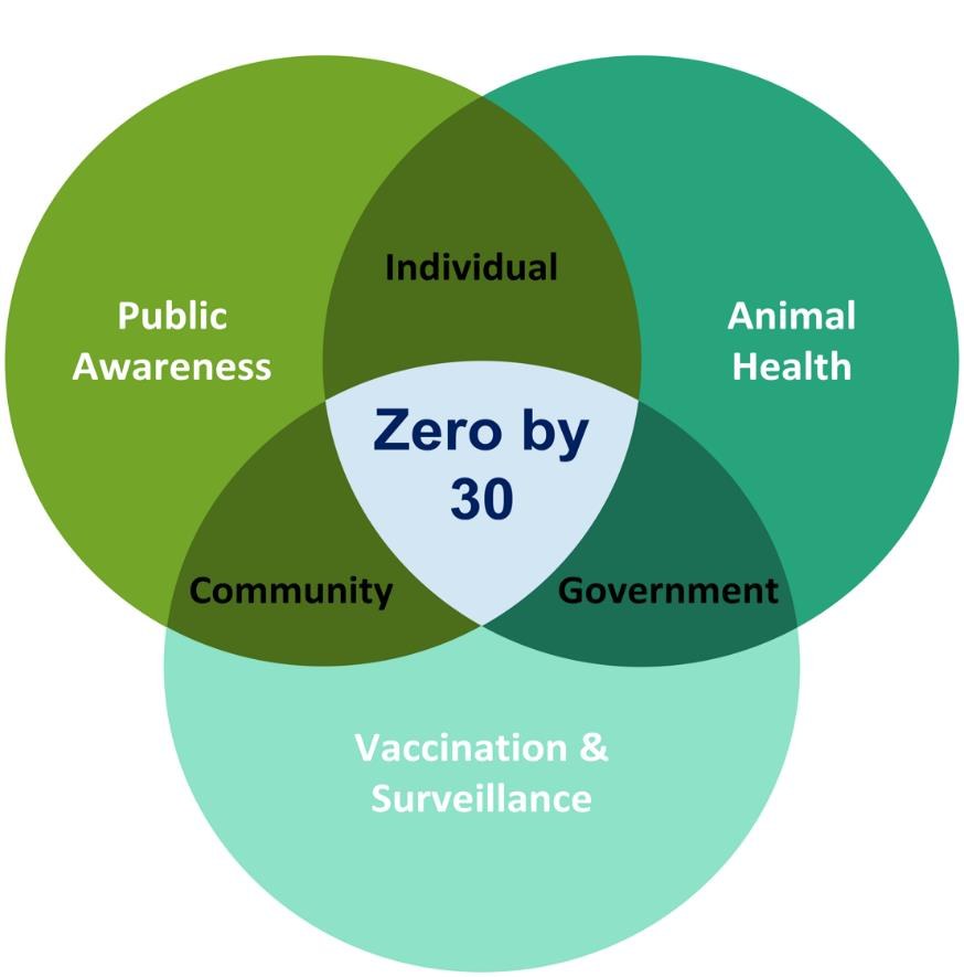 A One Health approach to achieving “Zero by 30” rabies elimination